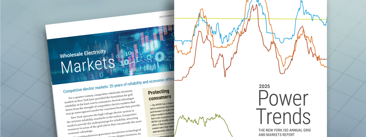 Power Trends 2025 Fact Sheet