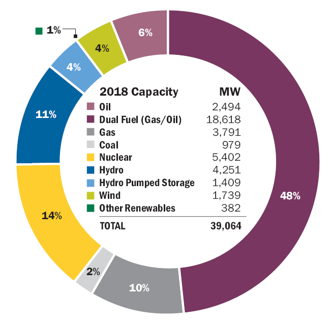 Fuel Mix – Generating Capacity: NY Statewide Generating Capacity by Fuel Source 2018