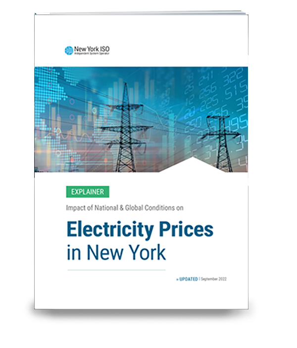 White Paper: Electricity Prices in New York