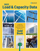 2022 Load and Capacity Data Report (Gold Book)