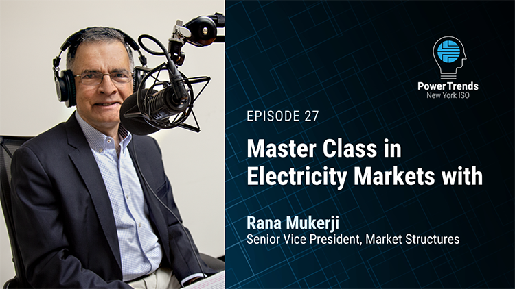 PODCAST: Master class in electricity markets with Rana Mukerji