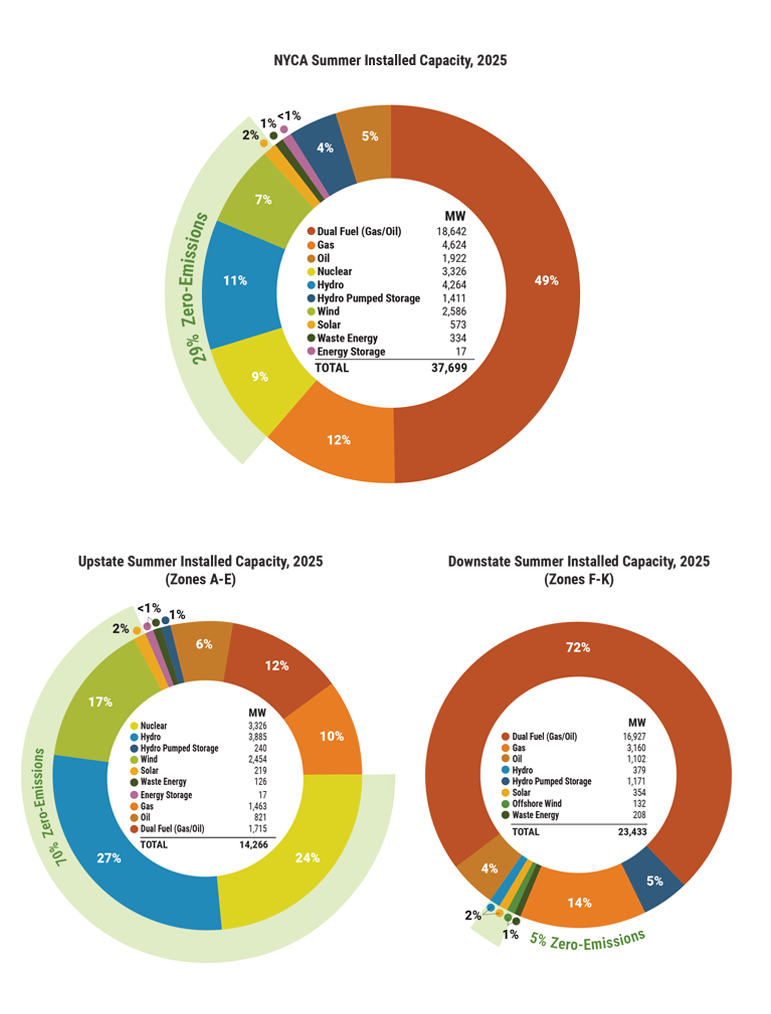 Figure 22: Summer 2025 Installed Capacity by Fuel Source